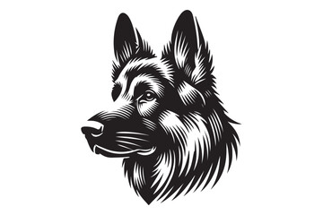 German Shepherd portrait