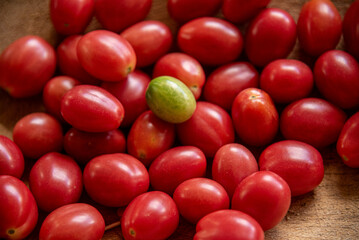 Cherry tomato fruits (Solanum lycopersicum var. cerasiforme)