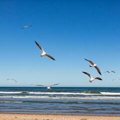 Fototapeta premium Coastal scene with seagulls flying above. 