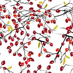 Seamless pattern with styled rosehips dog rose twigs. Beautiful dog rose products design elements