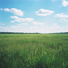 Obraz premium Expansive Green Grass Field Under Bright Blue Sky With Fluffy Clouds and a Distant Tree Line in Mid-Afternoon Sunlight