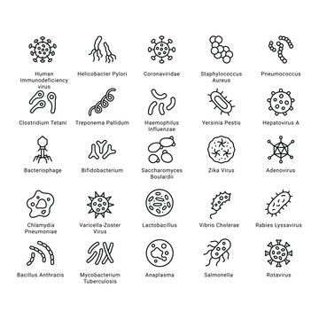 Bacteria , Germs and Virus