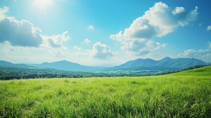 Fototapeta premium Vibrant Green Field Under a Bright Blue Sky With Fluffy Clouds and Distant Mountains on a Sunny Day