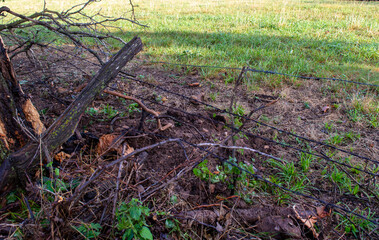 Broken fence closeup