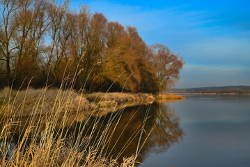 Roślinność środkowego biegu Wisły © grzegorz