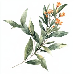 Obraz premium Vibrant Botanical Illustration of Orange Flowers and Green Leaves Showcasing Natural Beauty and Artistry in Plant Design
