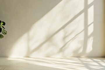 Sunlight Casting Soft Shadows on a Minimalist Interior Wall With Greenery in the Corner During the Late Afternoon