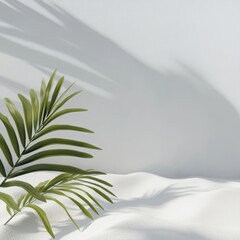 Soft Shadows Cast by Green Palm Leaves on White Sand Create a Serene Tropical Atmosphere, Ideal for Relaxation or Meditation