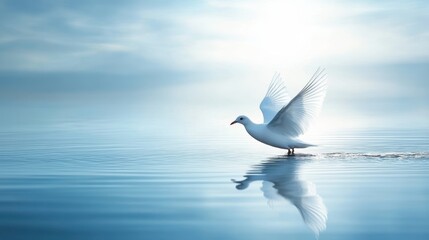 A serene capture of a graceful white bird gliding effortlessly across a calm, mirror-like body of water, under a soft and ethereal morning light.