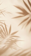Shadows of Palm Leaves Create an Artistic Pattern on a Soft Beige Backdrop During Daylight