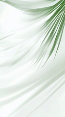 Tropical Palm Leaves Gracefully Draping Over Elegant Silk Fabric in a Bright and Airy Setting