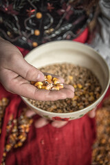 Women's hands separating corn from other grains from a plate.