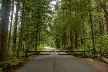 Road Blocks At The Beginning Of Carbon River Trail In Mount Rainier