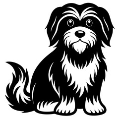 havanese Dog black silhouette vector, Simple silhouette Design vector icon with white background