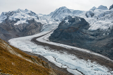 Gorner Glacier