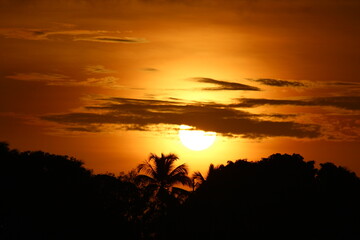Sunset over a beautiful coconut grove on the horizon in Punau, Rio do Fogo, RN, Brazil