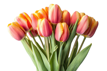 Beautiful bouquet of pink and orange tulips arranged for decoration or gifting in spring or summer