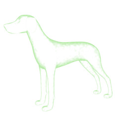 3d rendered glowing hologram of a dog isolated on transparent background