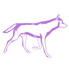 3d rendered glowing hologram of a wolf isolated on transparent background