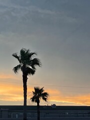 Vibes