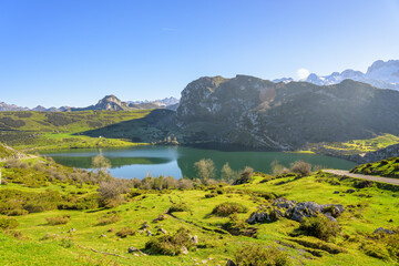 Fototapeta premium Lagos de Covadonga en Asturias