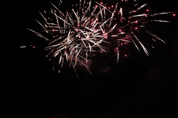 new year fireworks in the night sky