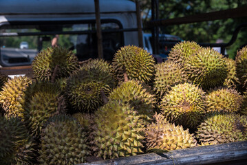 Durian