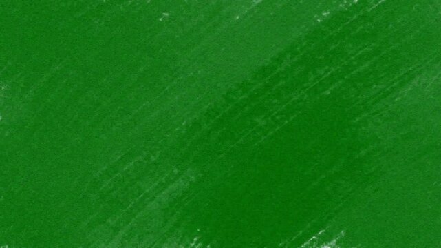 Beautiful Timelapse of Paintbrush Painting Watercolor Watercolour on Rough Textured Paper Background 4K Intro Reveal Animation Loop japanese laurel green