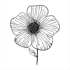Flower Handdrawn Vector Black White