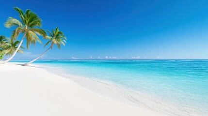 Serene tropical beach with palm trees and clear blue waters.