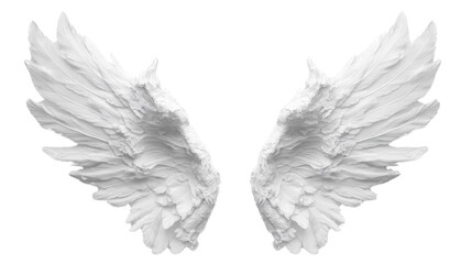 Obraz premium Angel wings transparent background