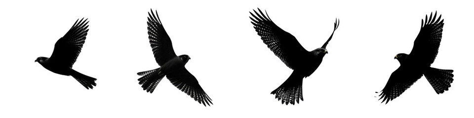 Obraz premium Silhouetted Birds in Flight Captured Over a Grayscale Background, Perfect for Nature and Freedom Themes