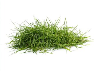 Green Grass Pile