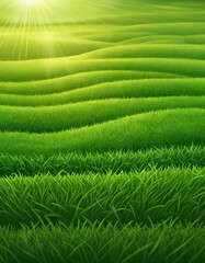 Fototapeta premium Sunlit Rolling Hills of Lush Green Grass