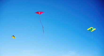 The Beauty of Kites Flying Under the Blue Sky  .