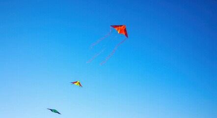 The Beauty of Kites Flying Under the Blue Sky .