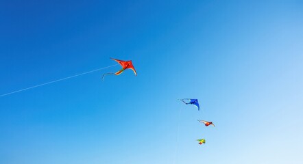 The Beauty of Kites Flying Under the Blue Sky  .