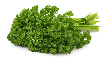 Fototapeta premium A bunch of curly parsley with rich green color and detail