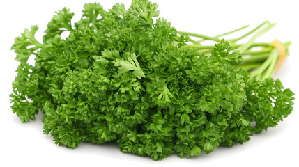 Obraz premium A bunch of curly parsley with rich green color and detail