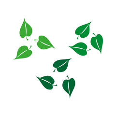 Green windblown leaves. Eco-friendly vector symbol. Natural foliage shapes. Fresh botanical elements.