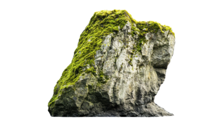 Tall rock with moss transparent background
