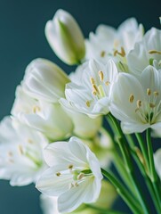 Fototapeta premium White flowers in a vase