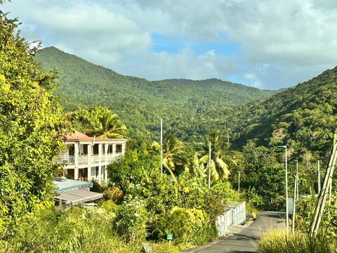 magnifique ville de la guadeloupe ( Pointe-noire) 