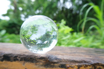 Crystal Clear Glass Sphere Reflecting Vibrant Greenery on Rustic Wooden Surface