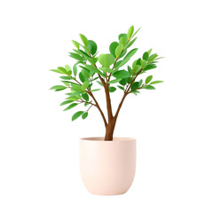a vase of indoor plants illustration isolated on white