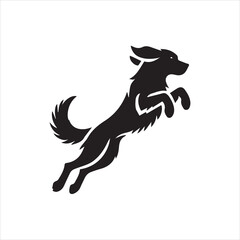 black and white dog jump