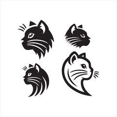 black and white cats