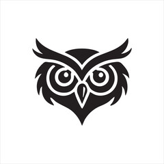 owl on white