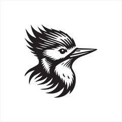 bird of paradise vector