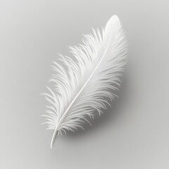 Fototapeta premium A white feather is shown in a close up on a grey background